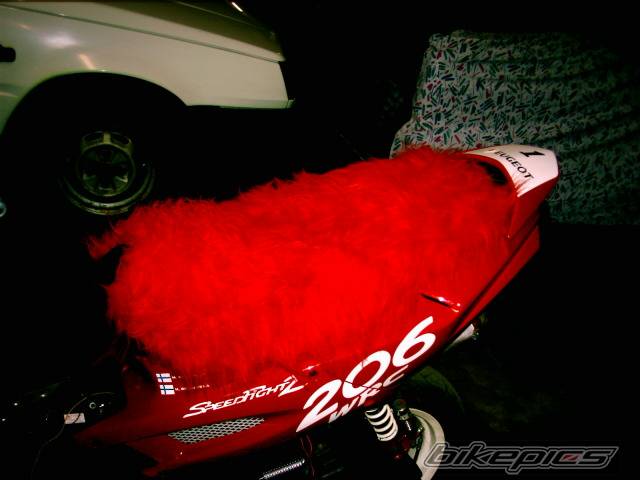 Photo 115482