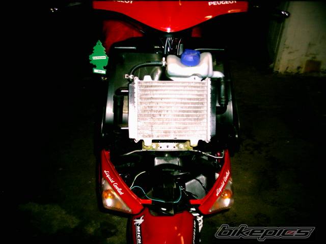 Photo 115483