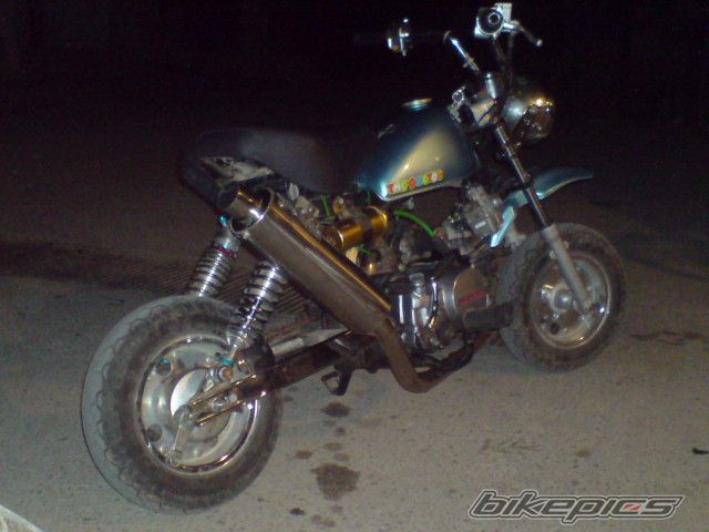 Photo 1154836