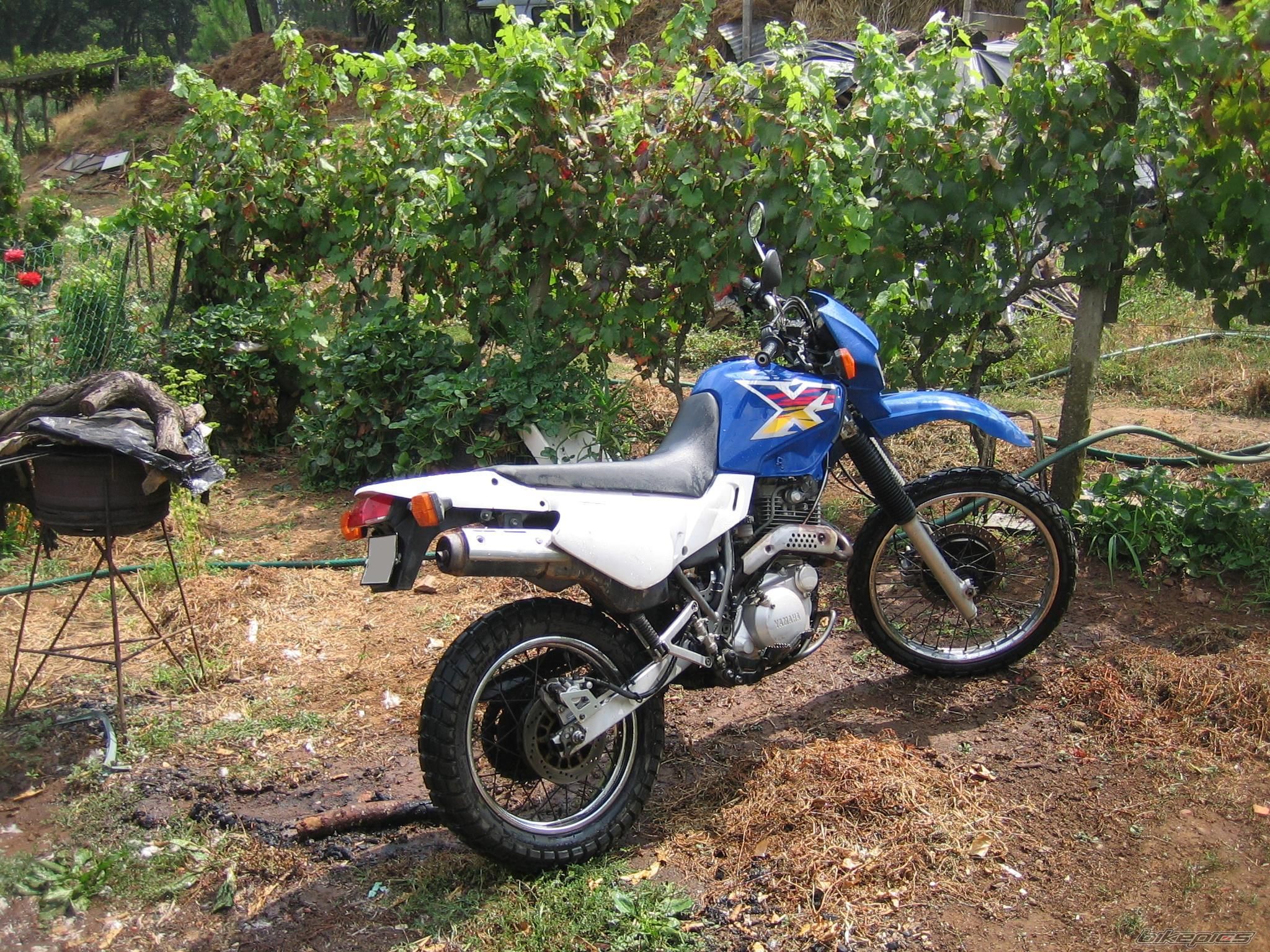 Photo 1154916
