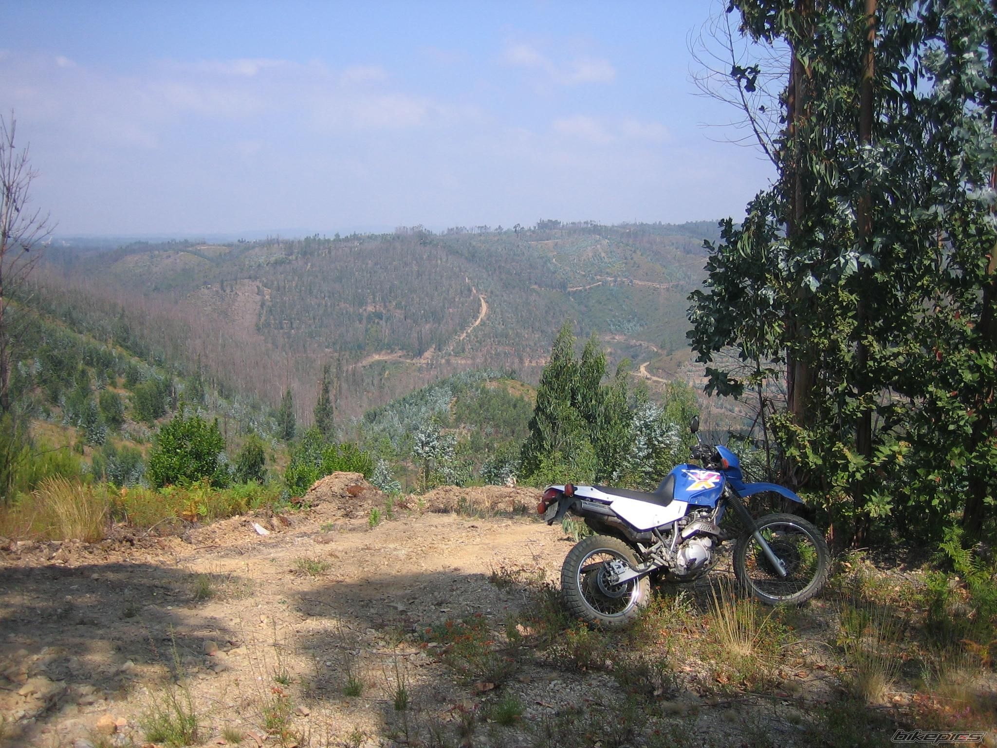 Photo 1154918