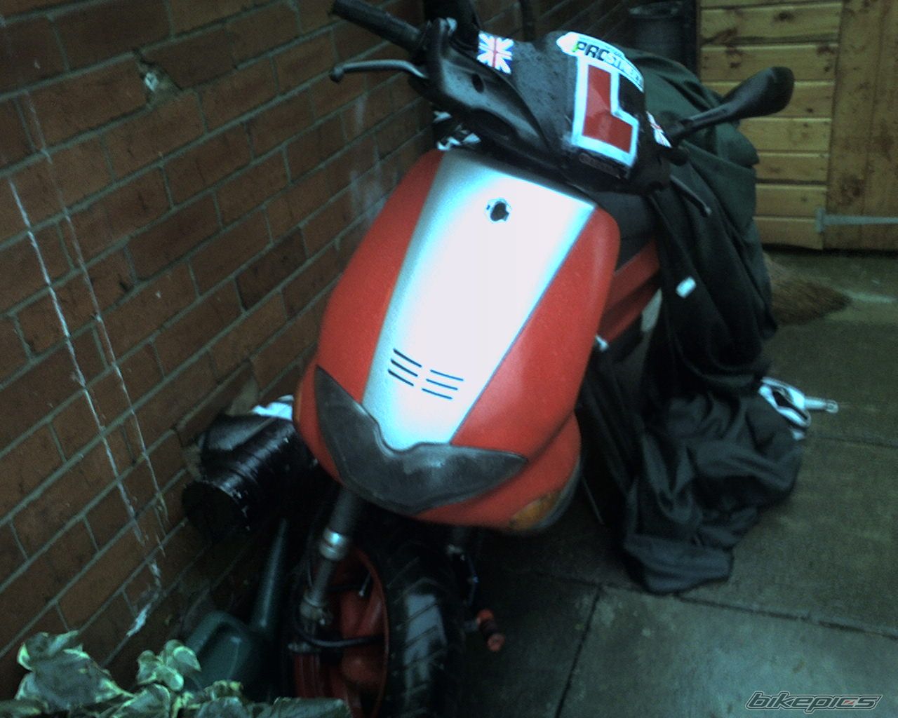 Photo 1154991