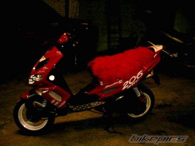 Photo 115502