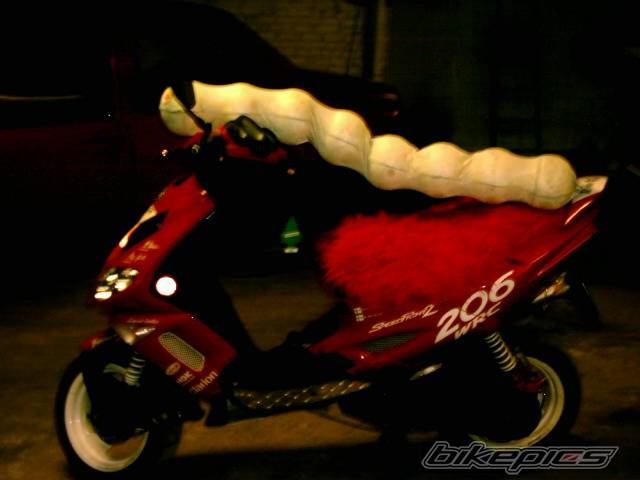 Photo 115508
