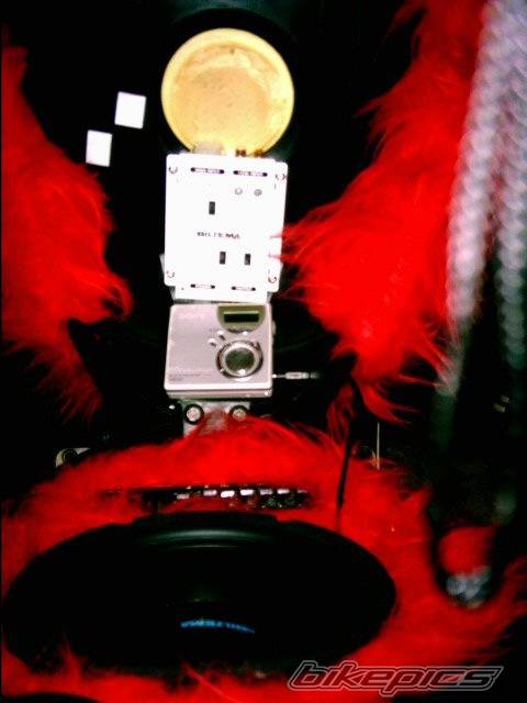 Photo 115520