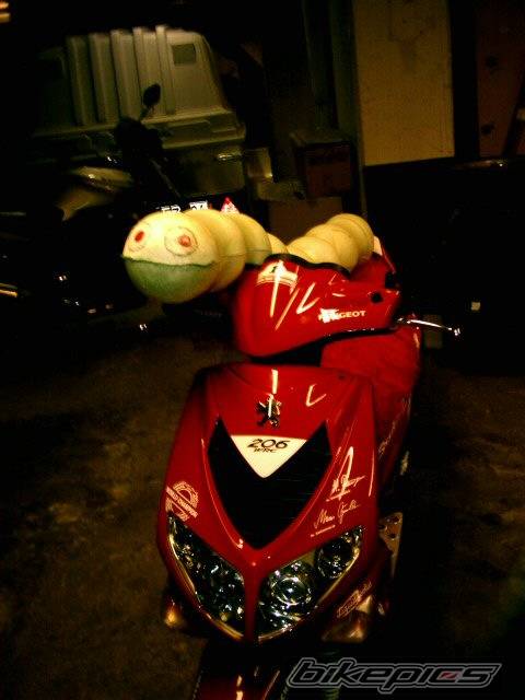 Photo 115521