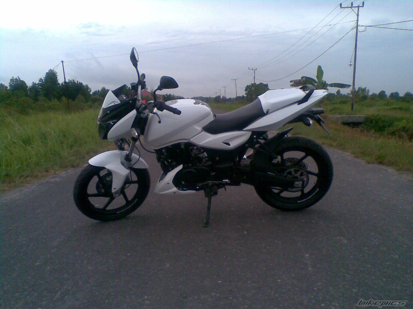 Photo 1155424