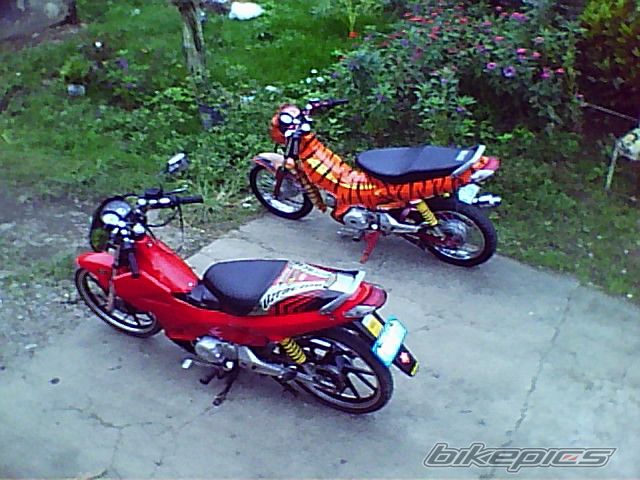 Photo 1155438