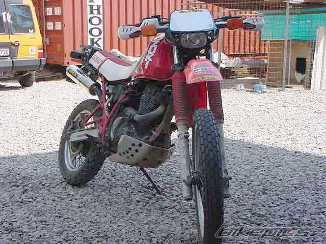 Photo 11557