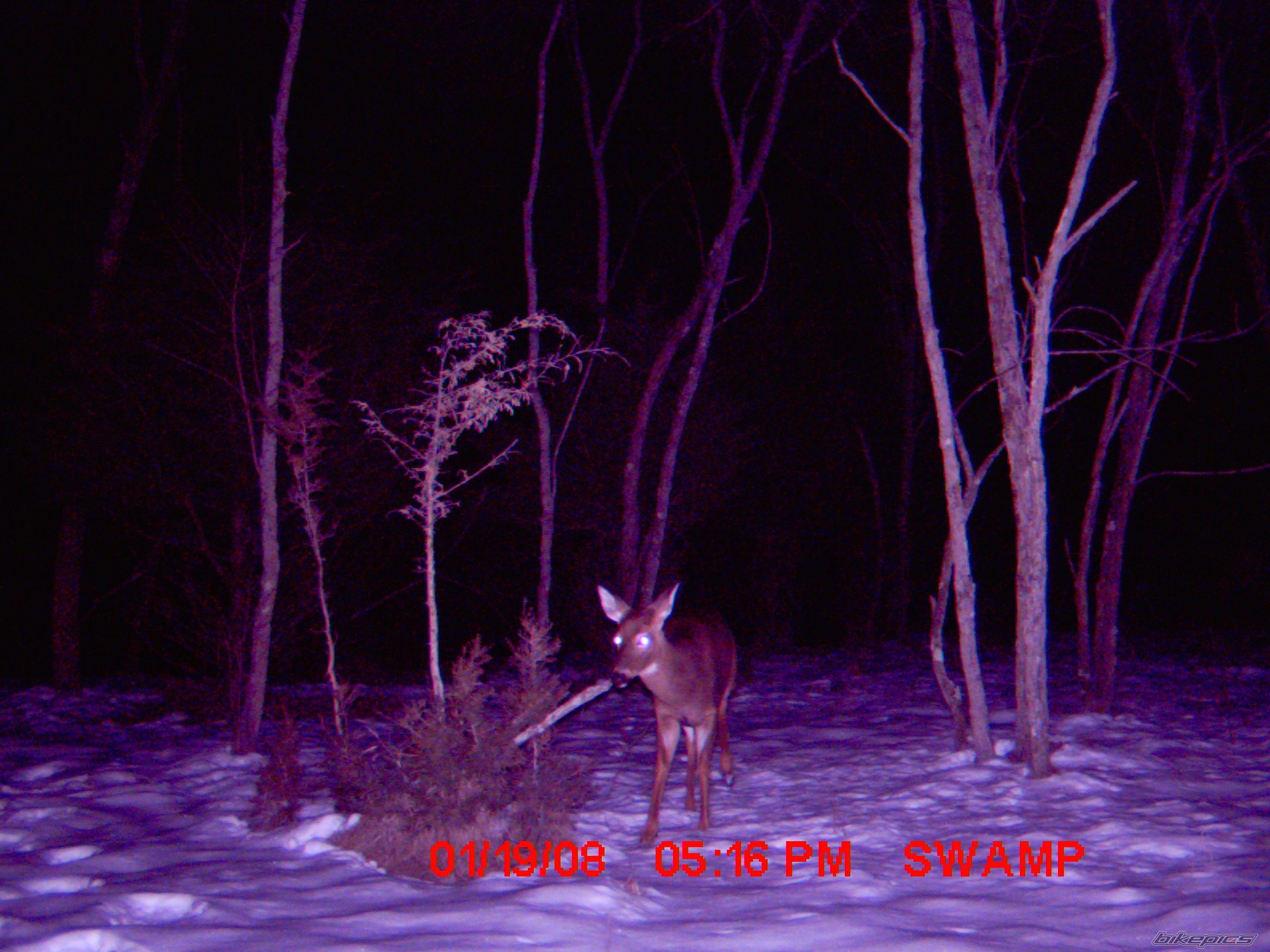 Photo 1155805