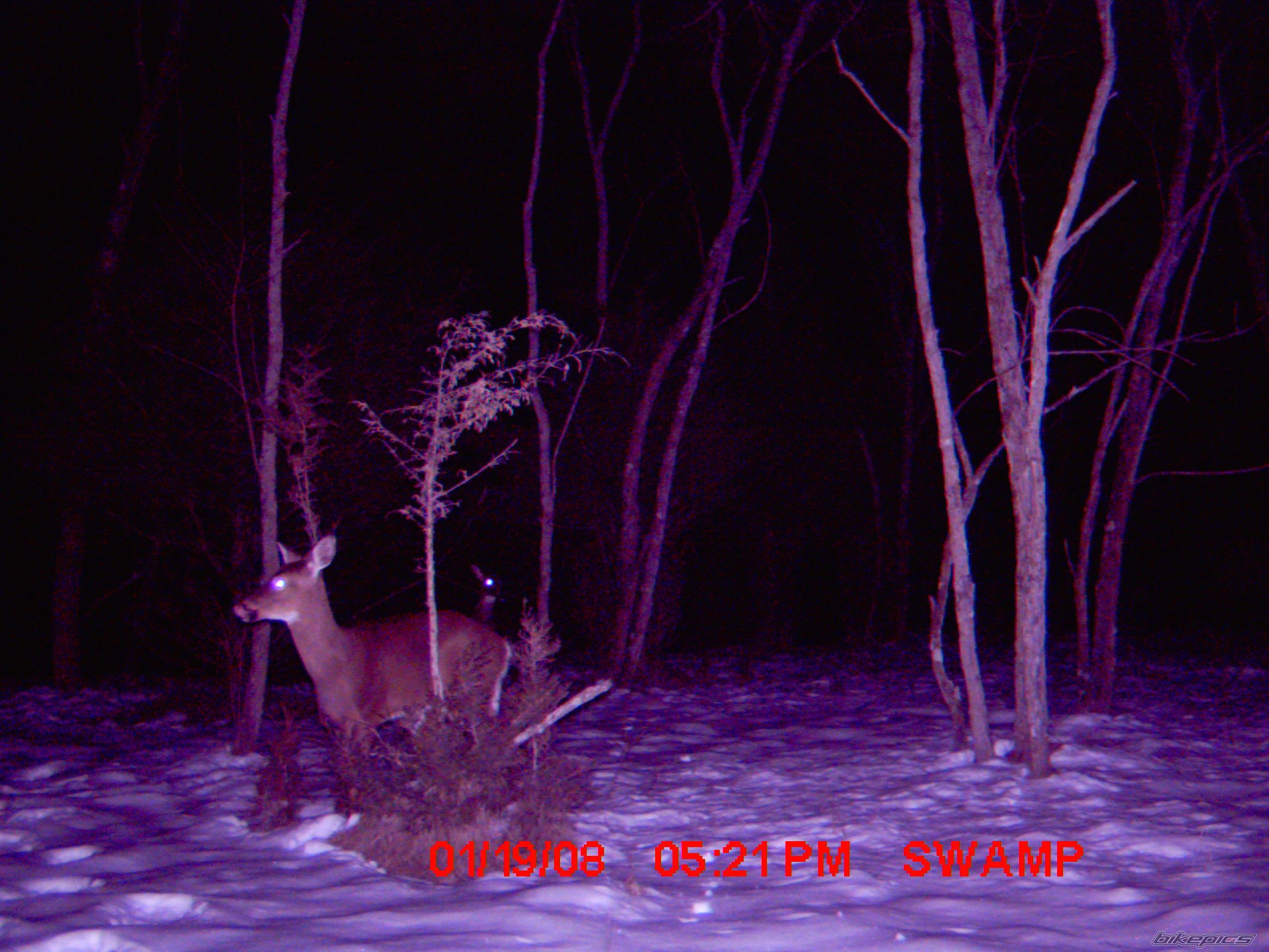 Photo 1155807