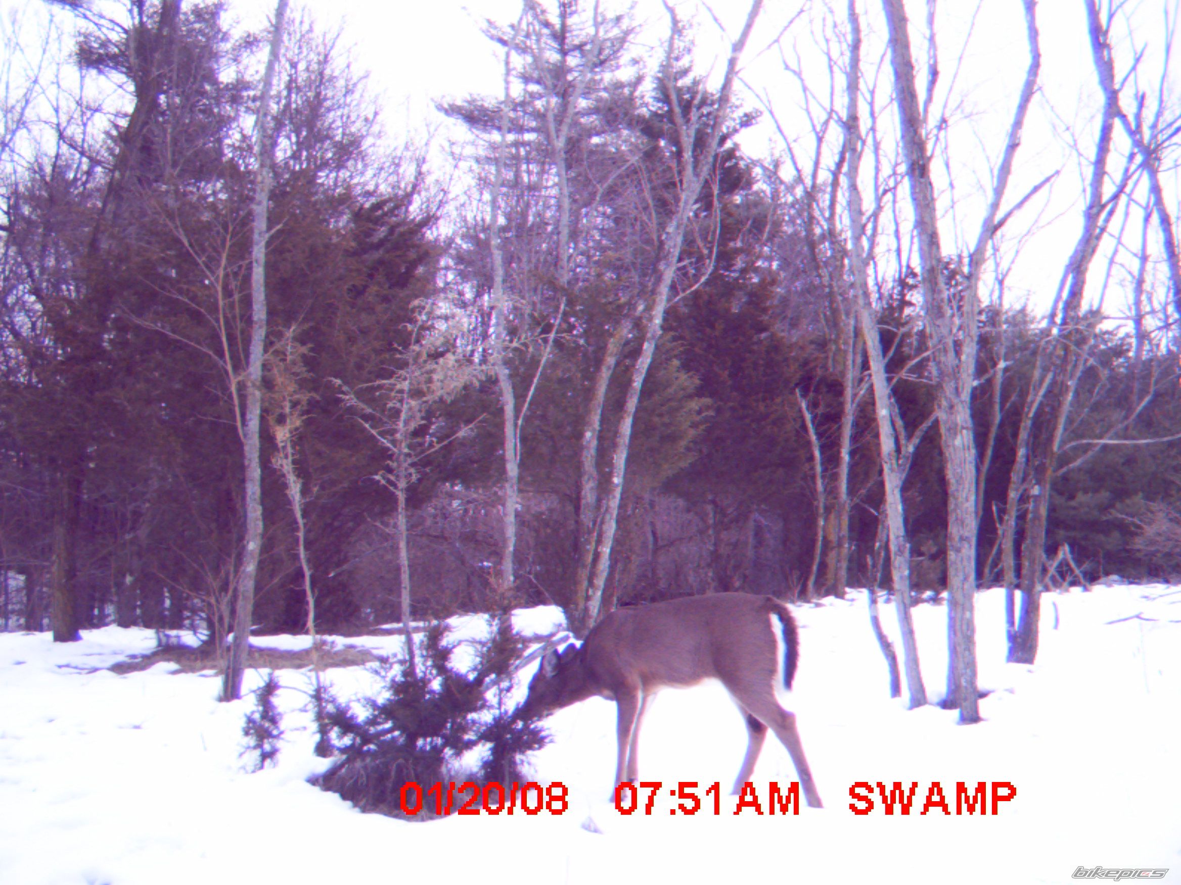 Photo 1155813