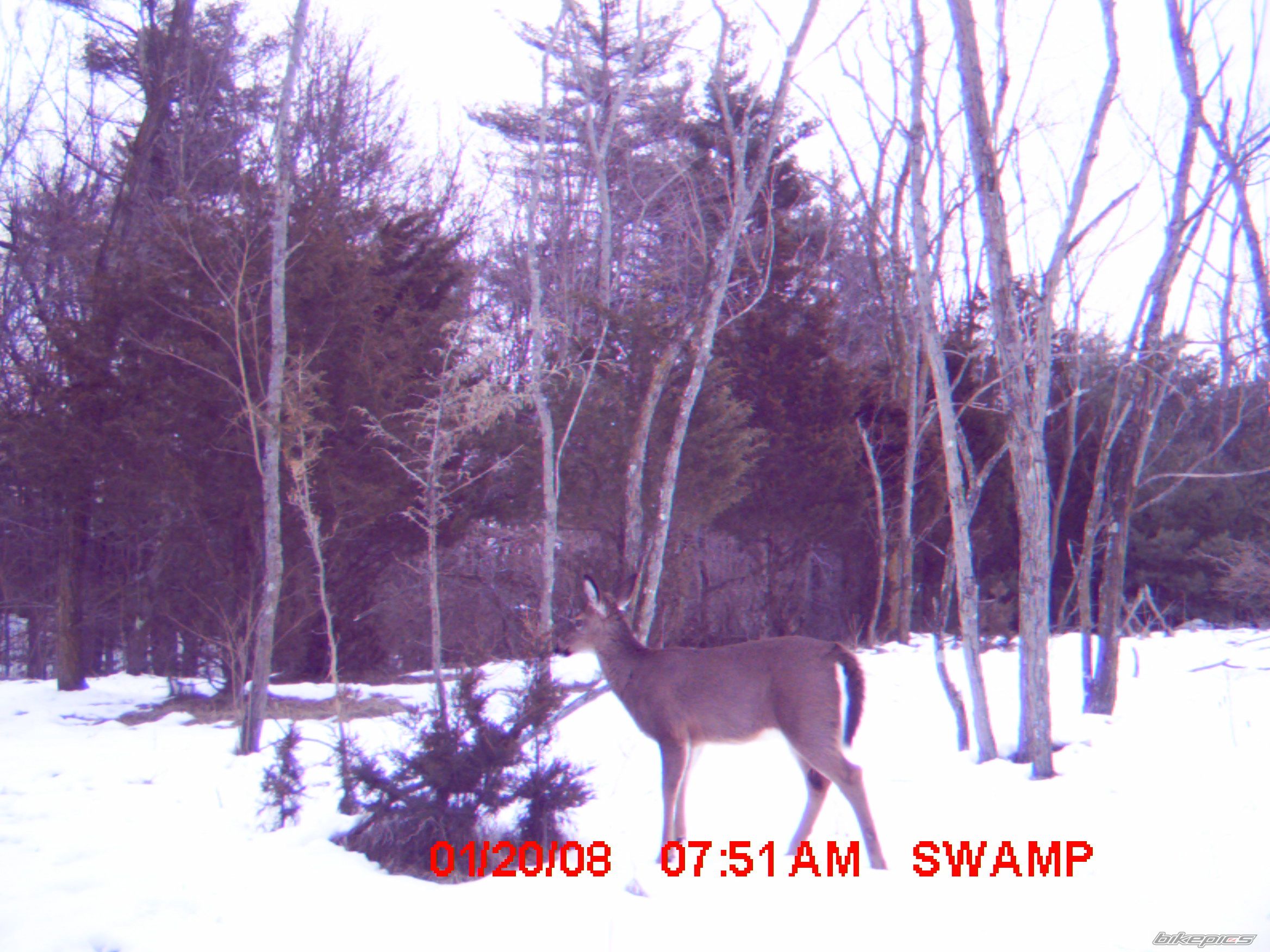 Photo 1155815