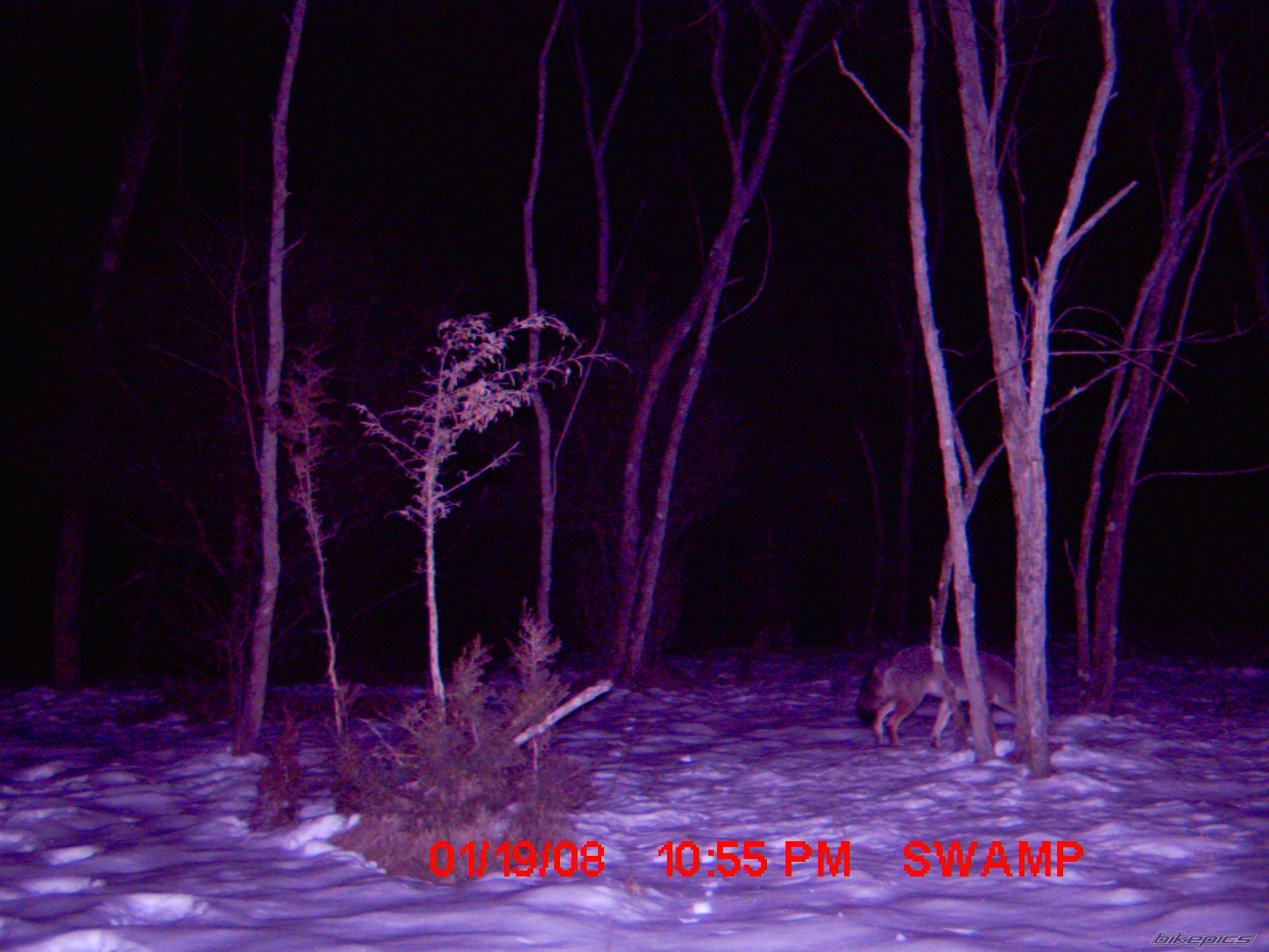 Photo 1155817