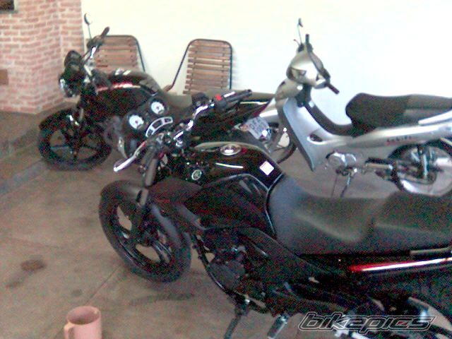 Photo 1155887