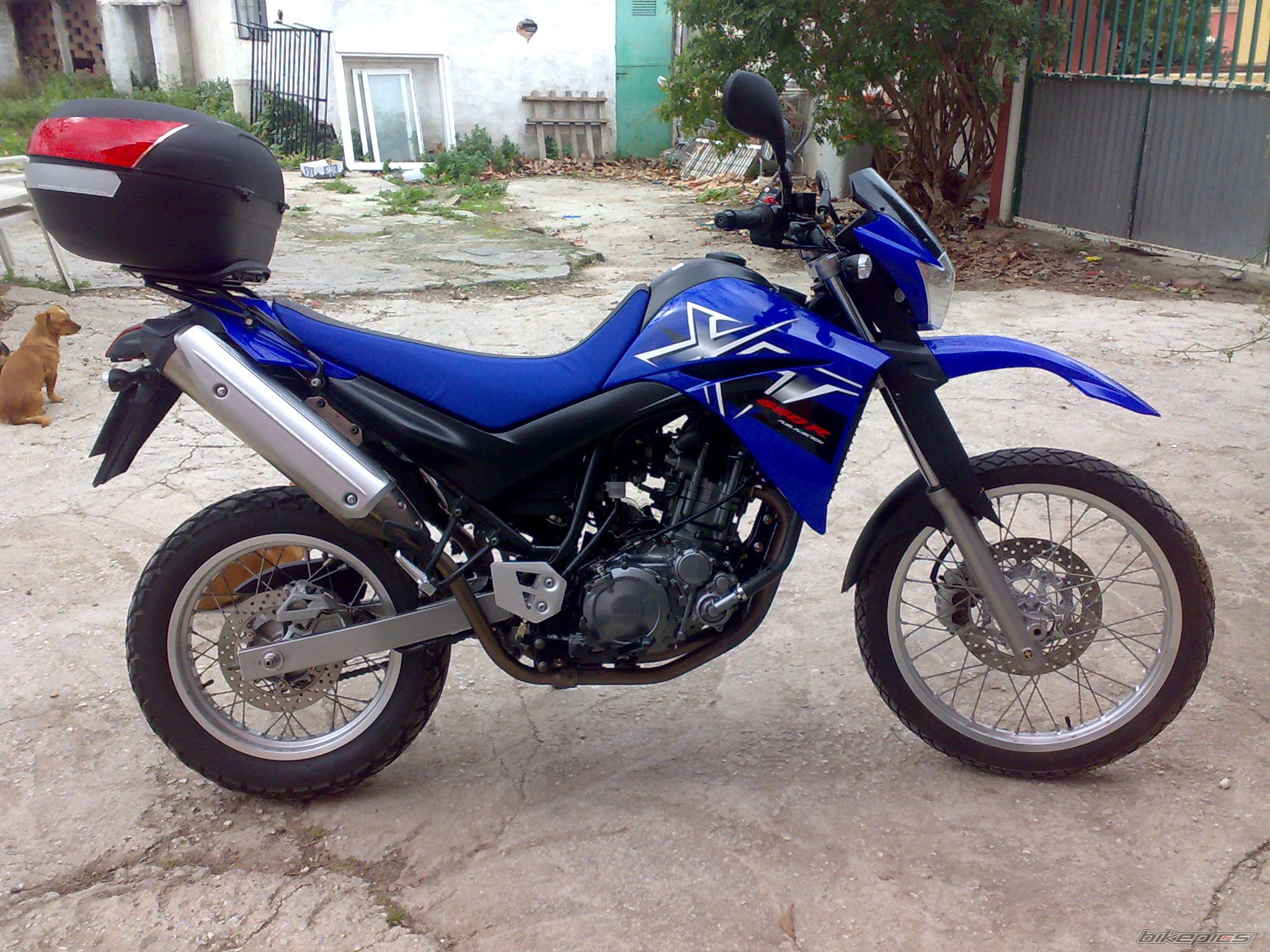 Bike Photo 1155924