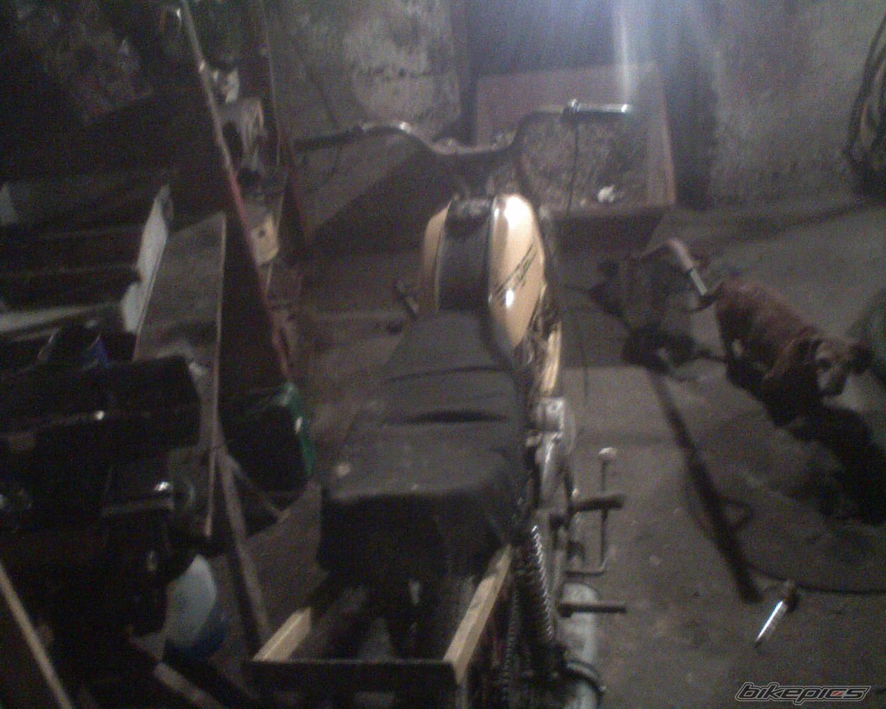 Photo 1155938