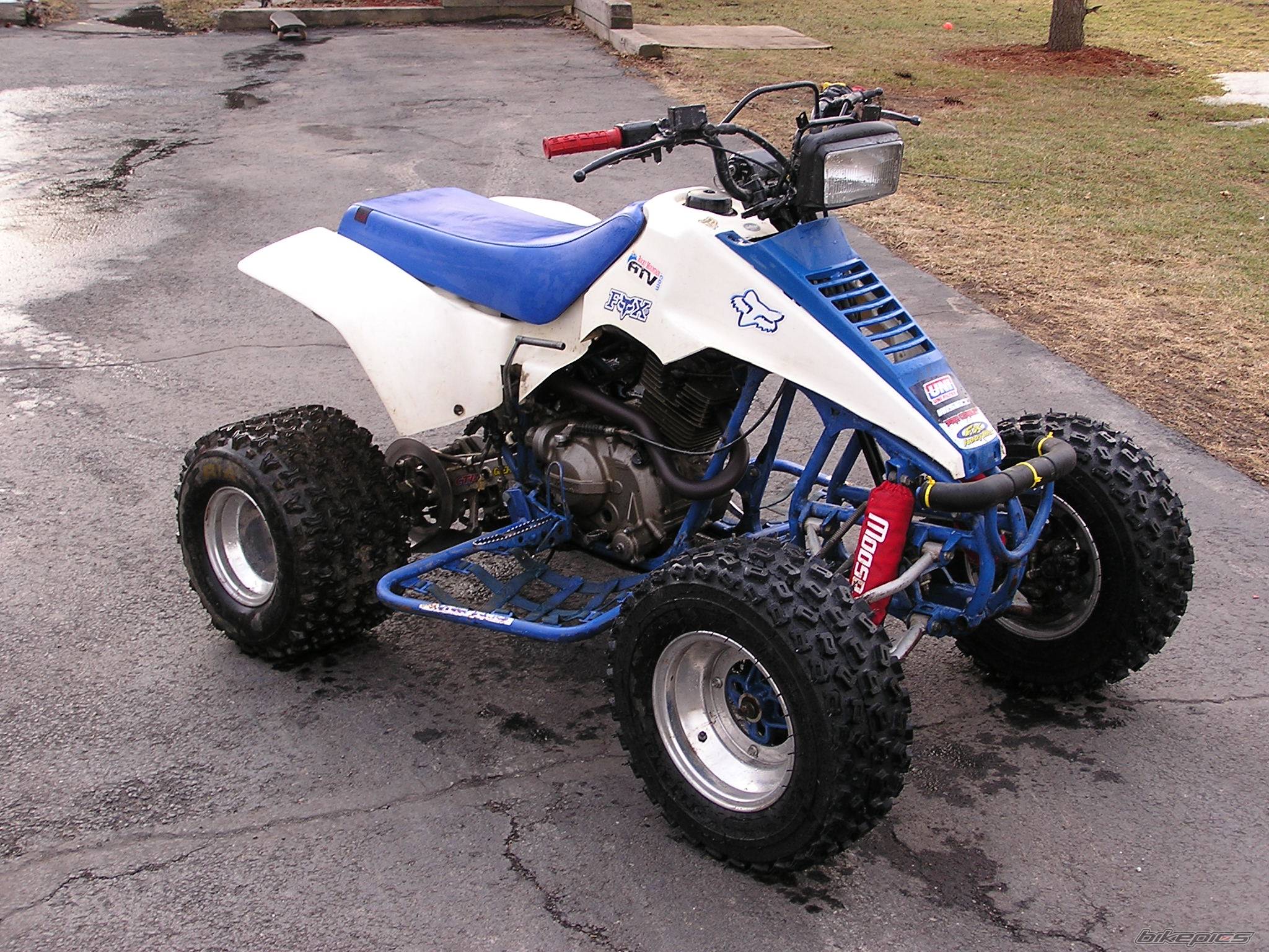 Photo 115616