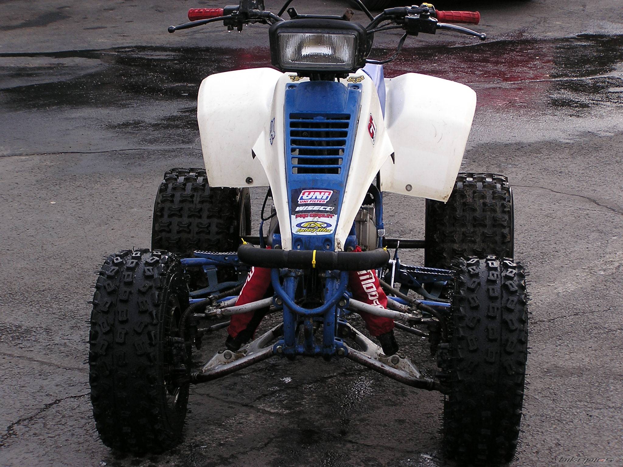 Photo 115619