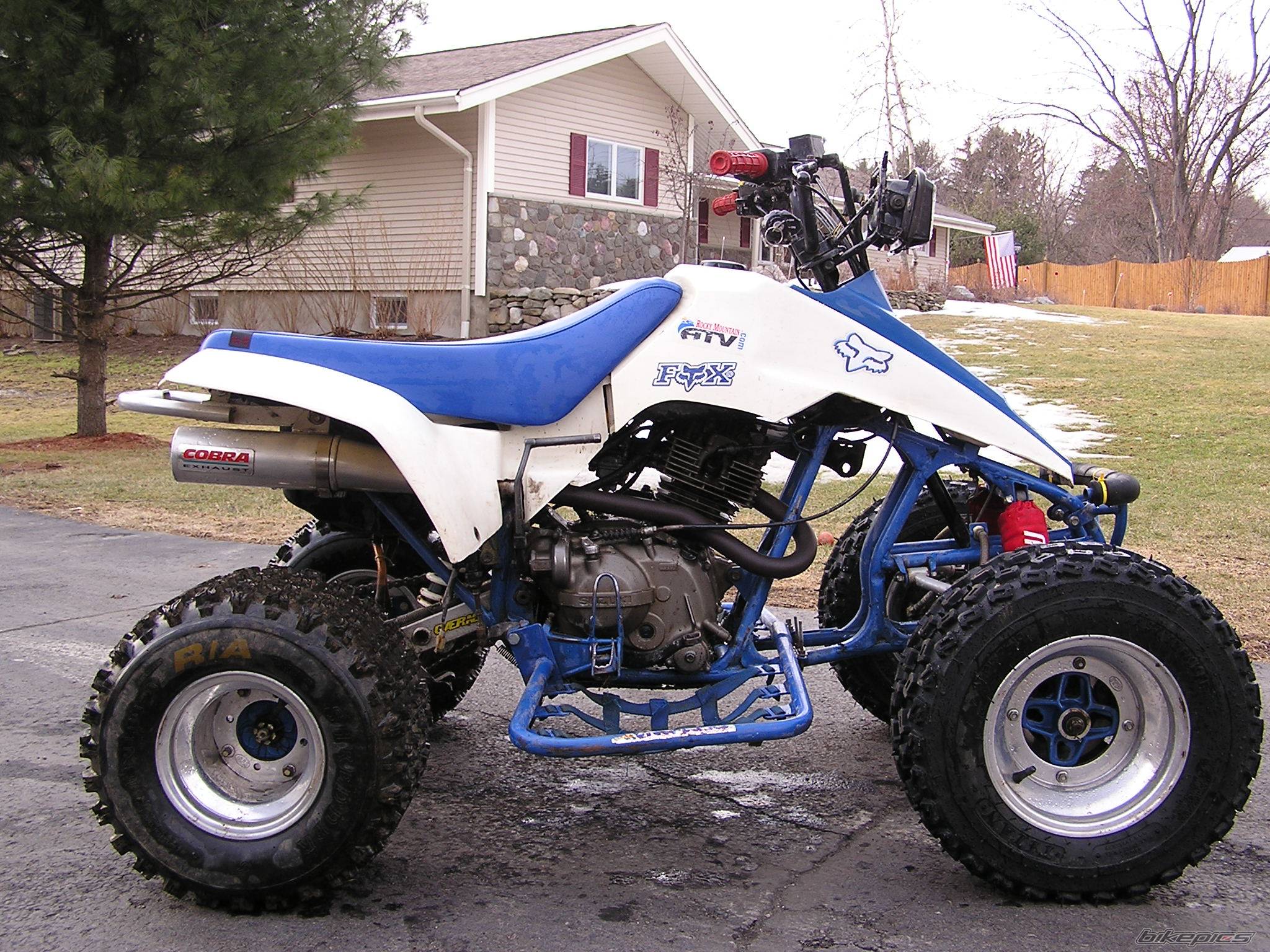 Photo 115620