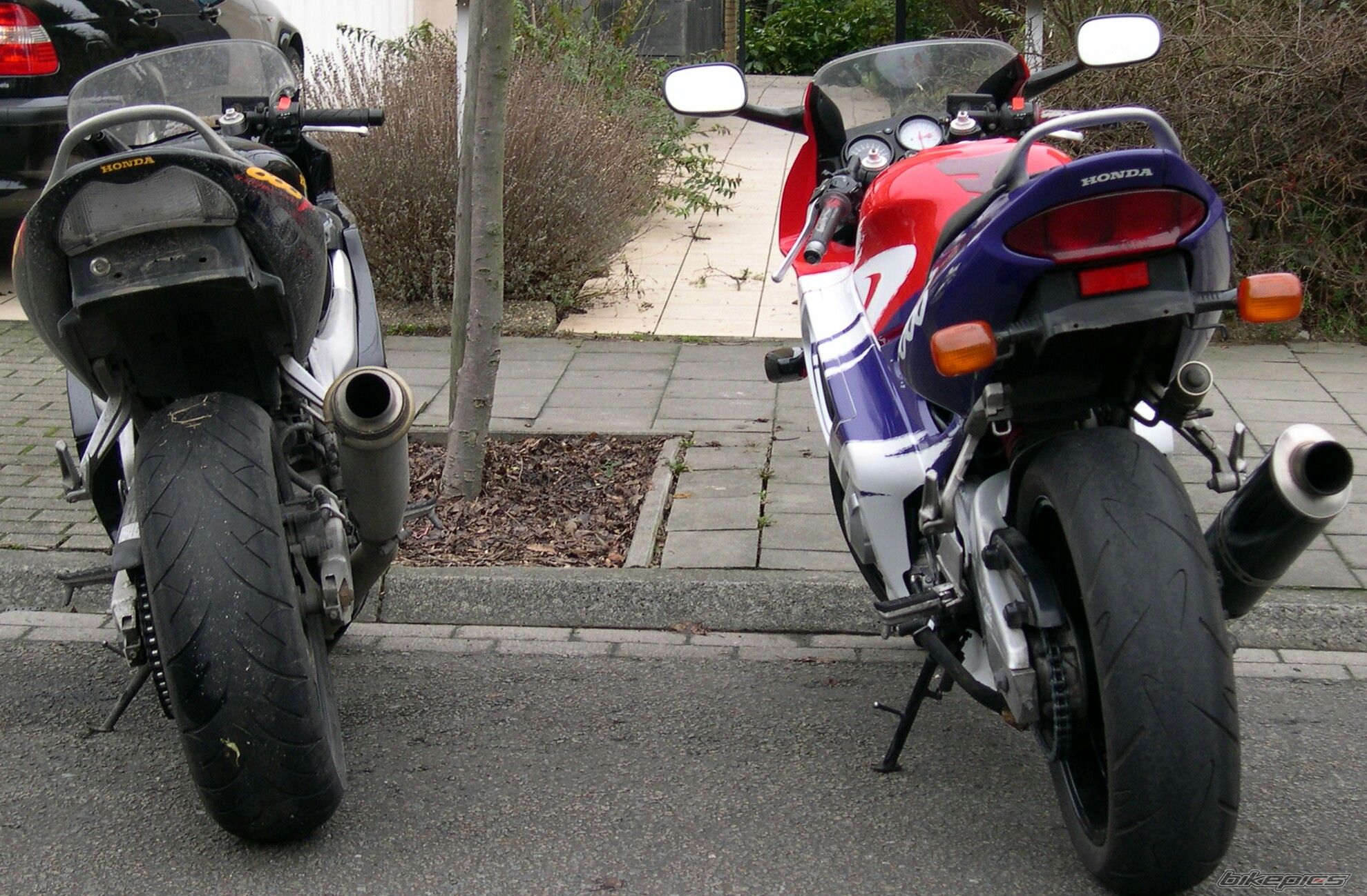 Photo 1156218