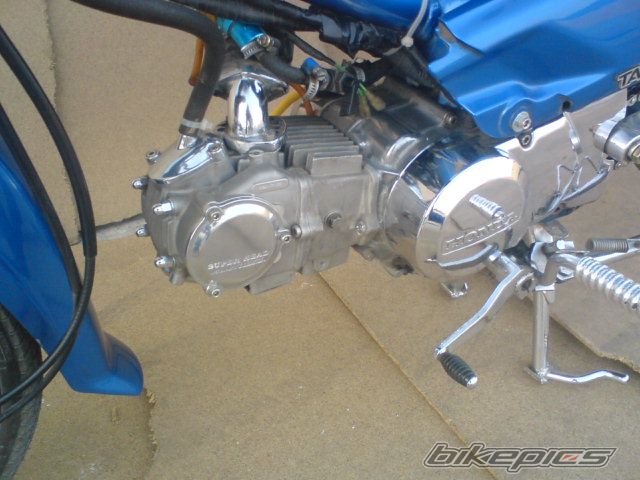 Photo 1156773