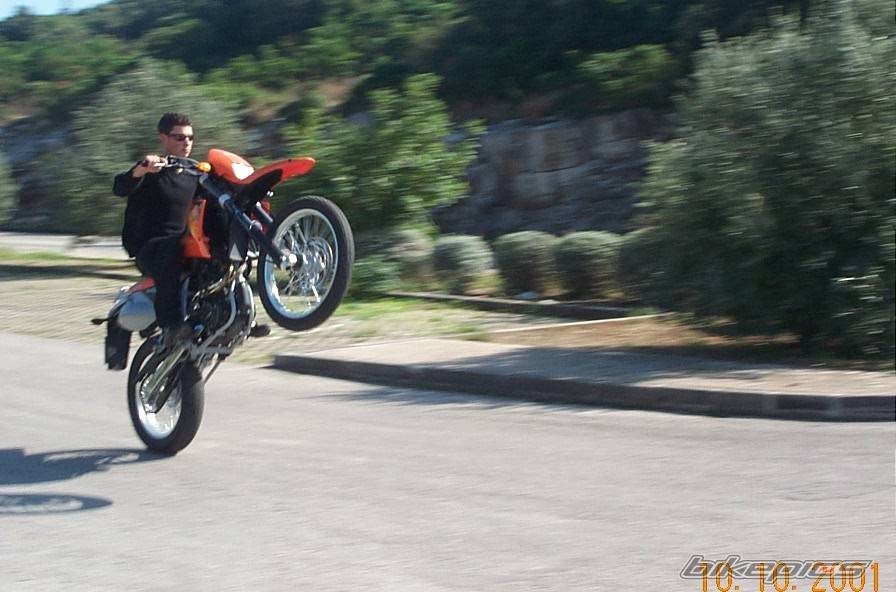 Photo 11572
