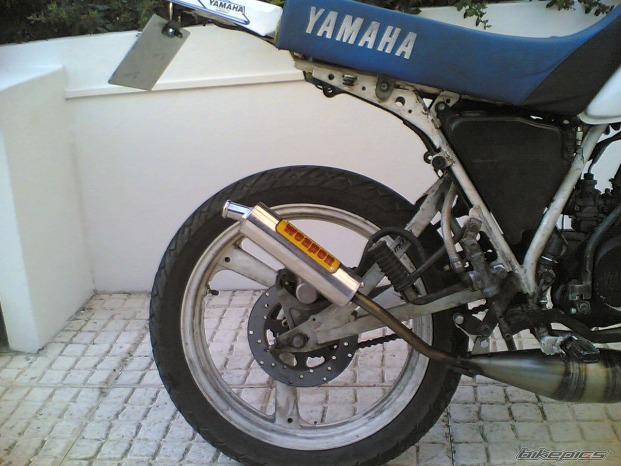 Photo 1157225