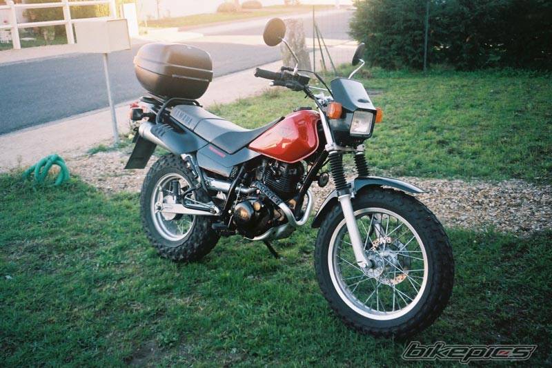 Photo 115725