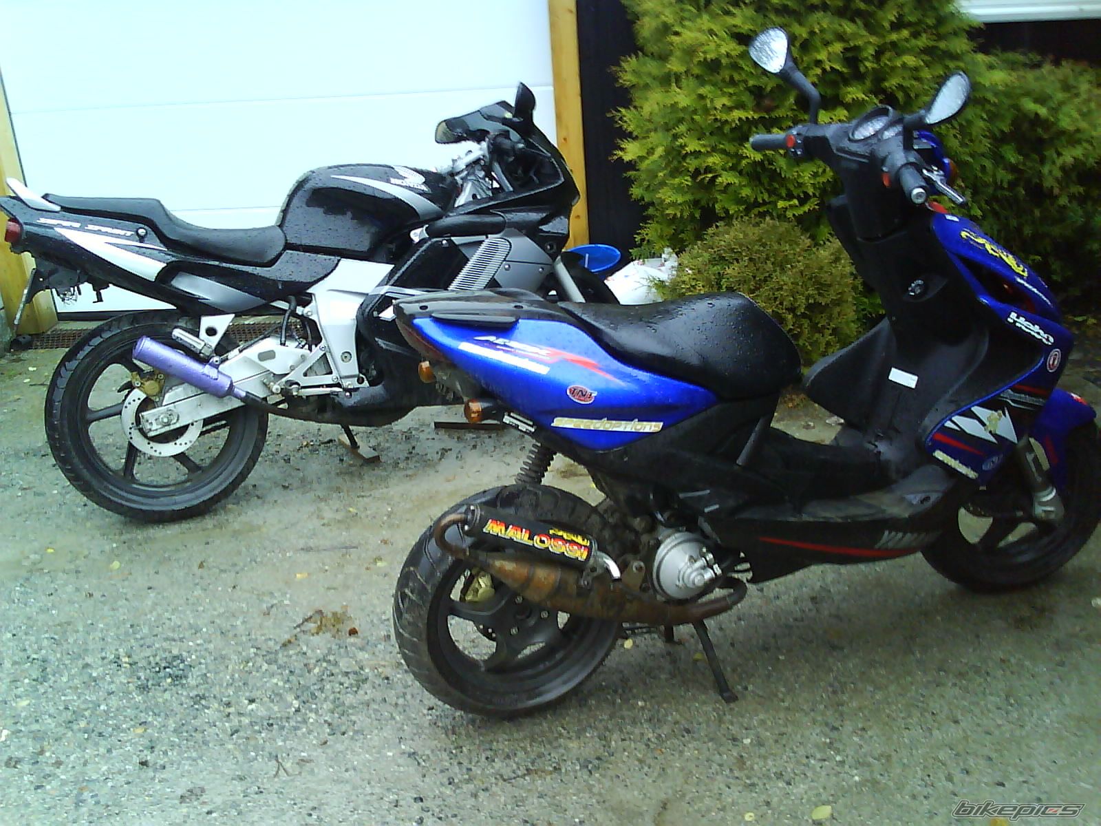 Photo 1157305