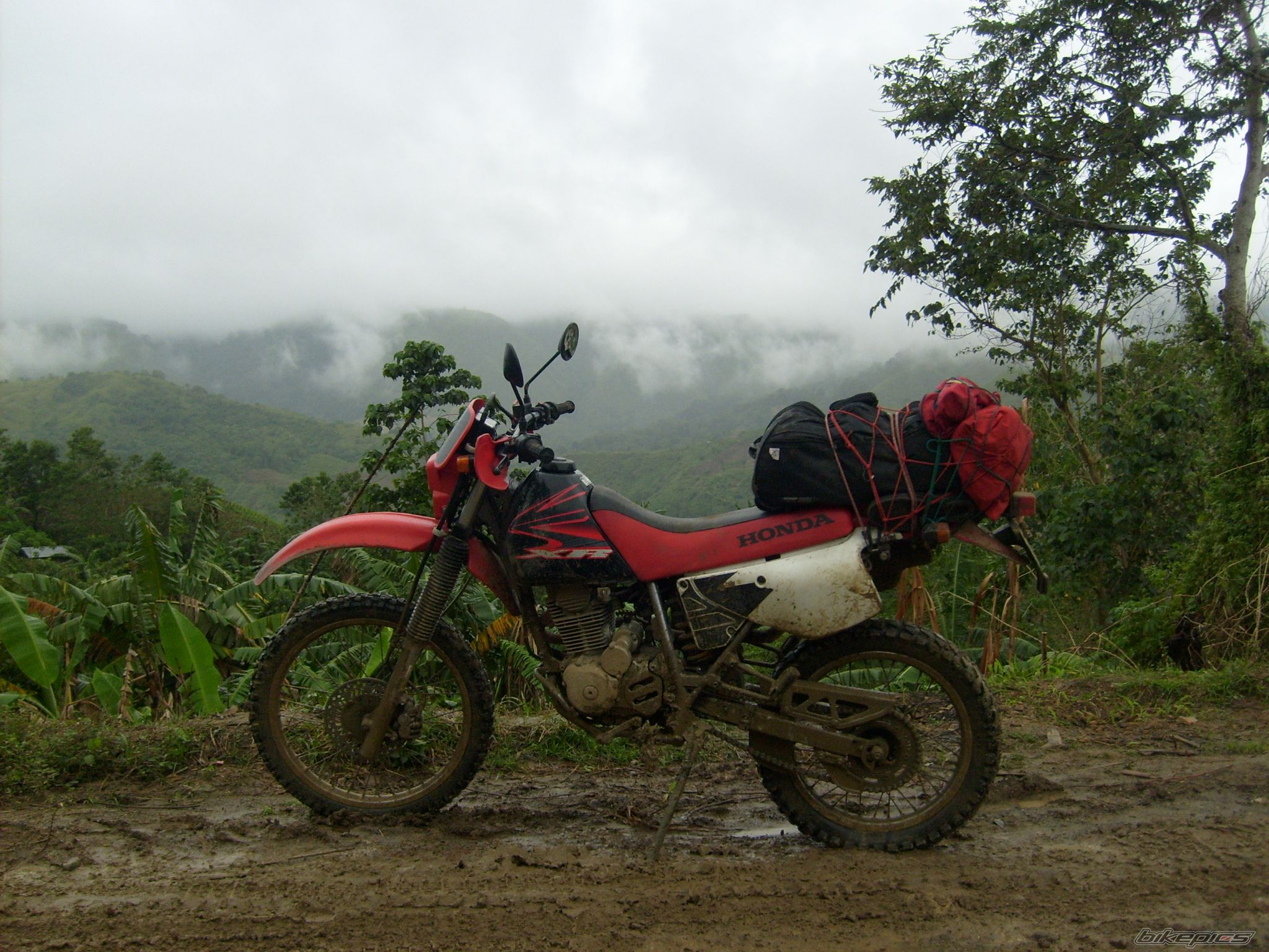 Photo 1157498