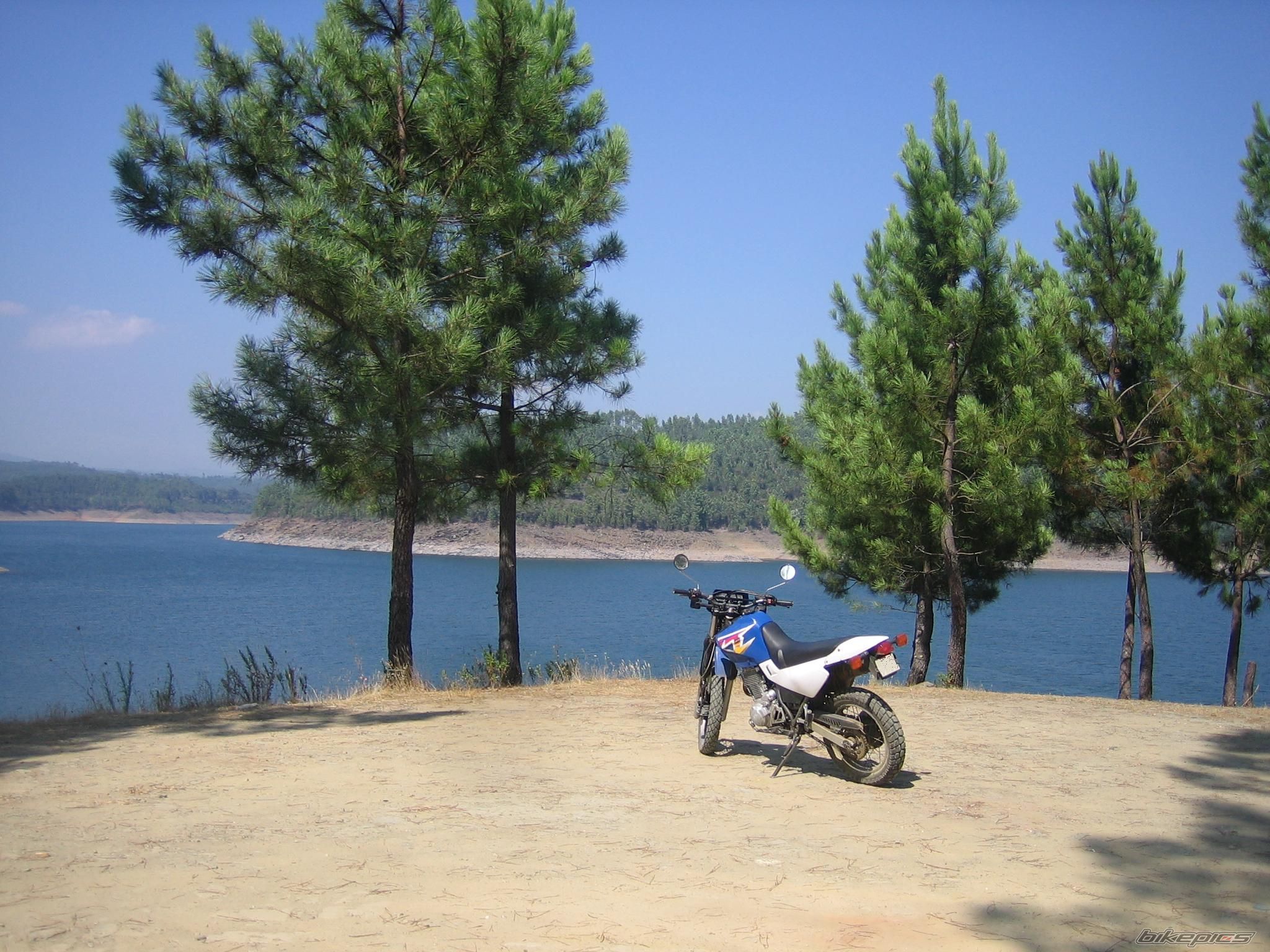 Bike Photo 1158285