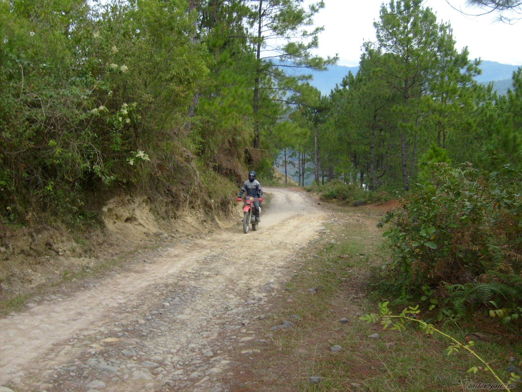 Bike Photo 1158372