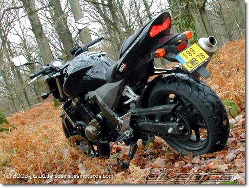 Photo 115896