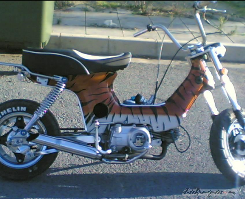 Bike Photo 1159081