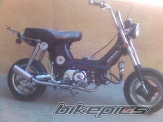 Photo 1159439