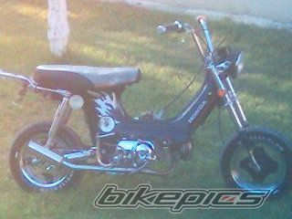 Photo 1159444
