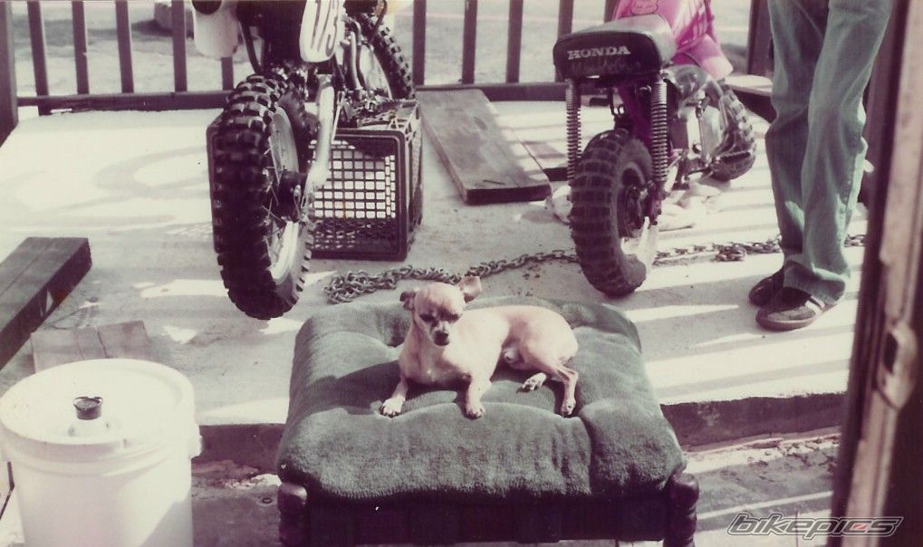 Photo 1159469