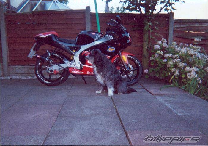 Bike Photo 115947
