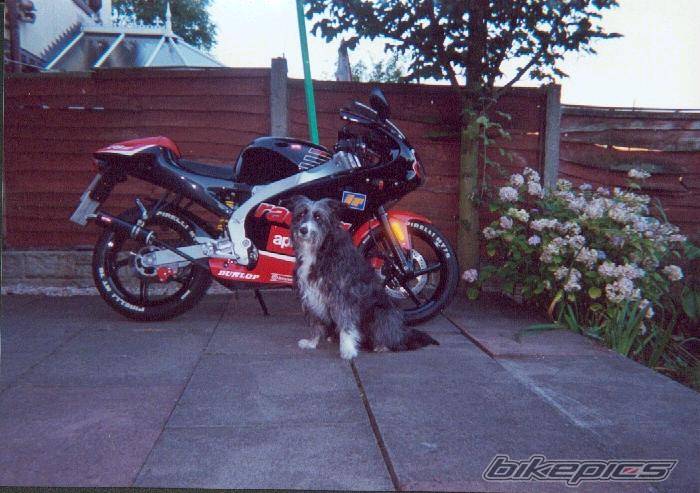 Photo 115948