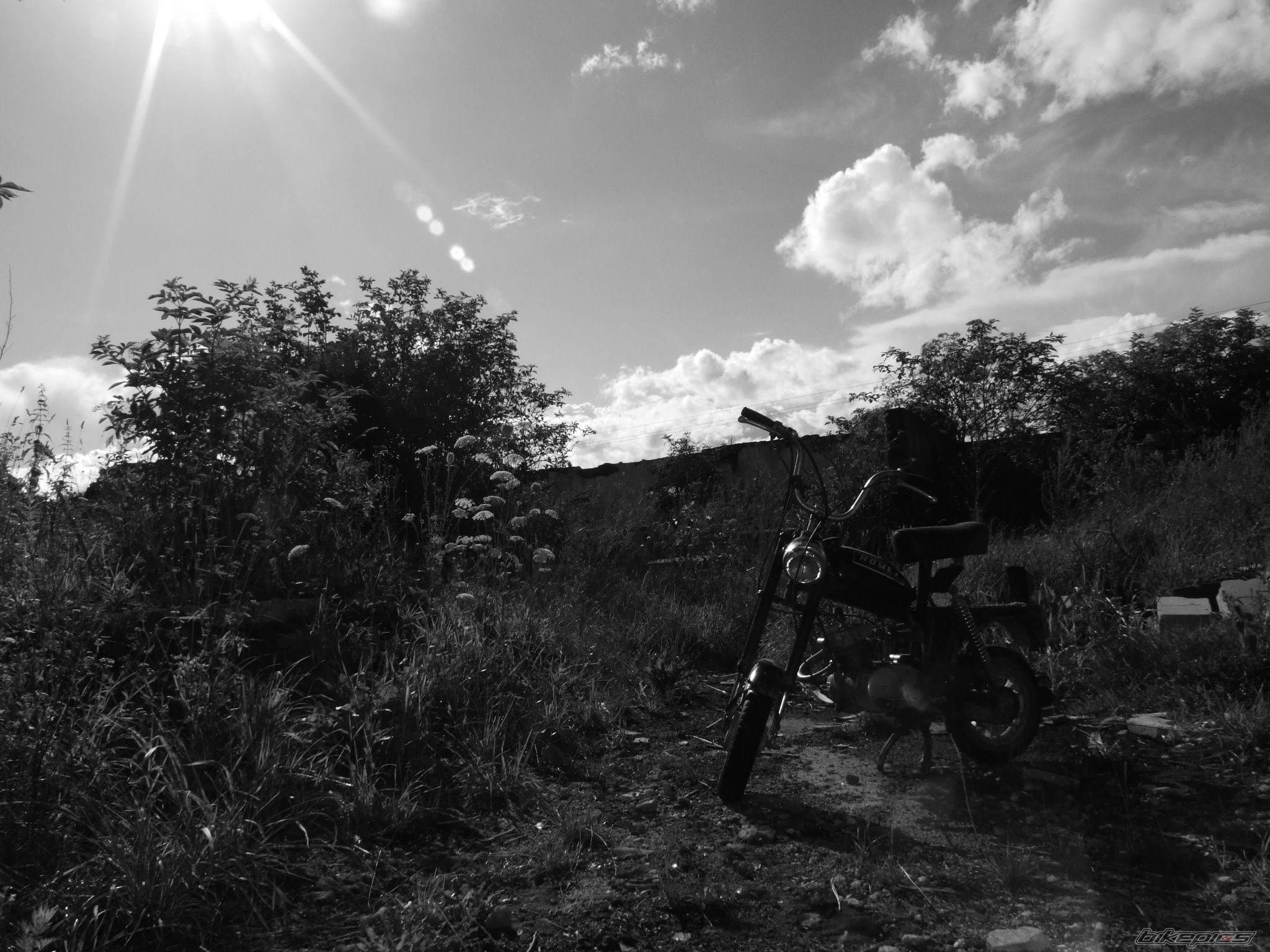 Photo 1159765