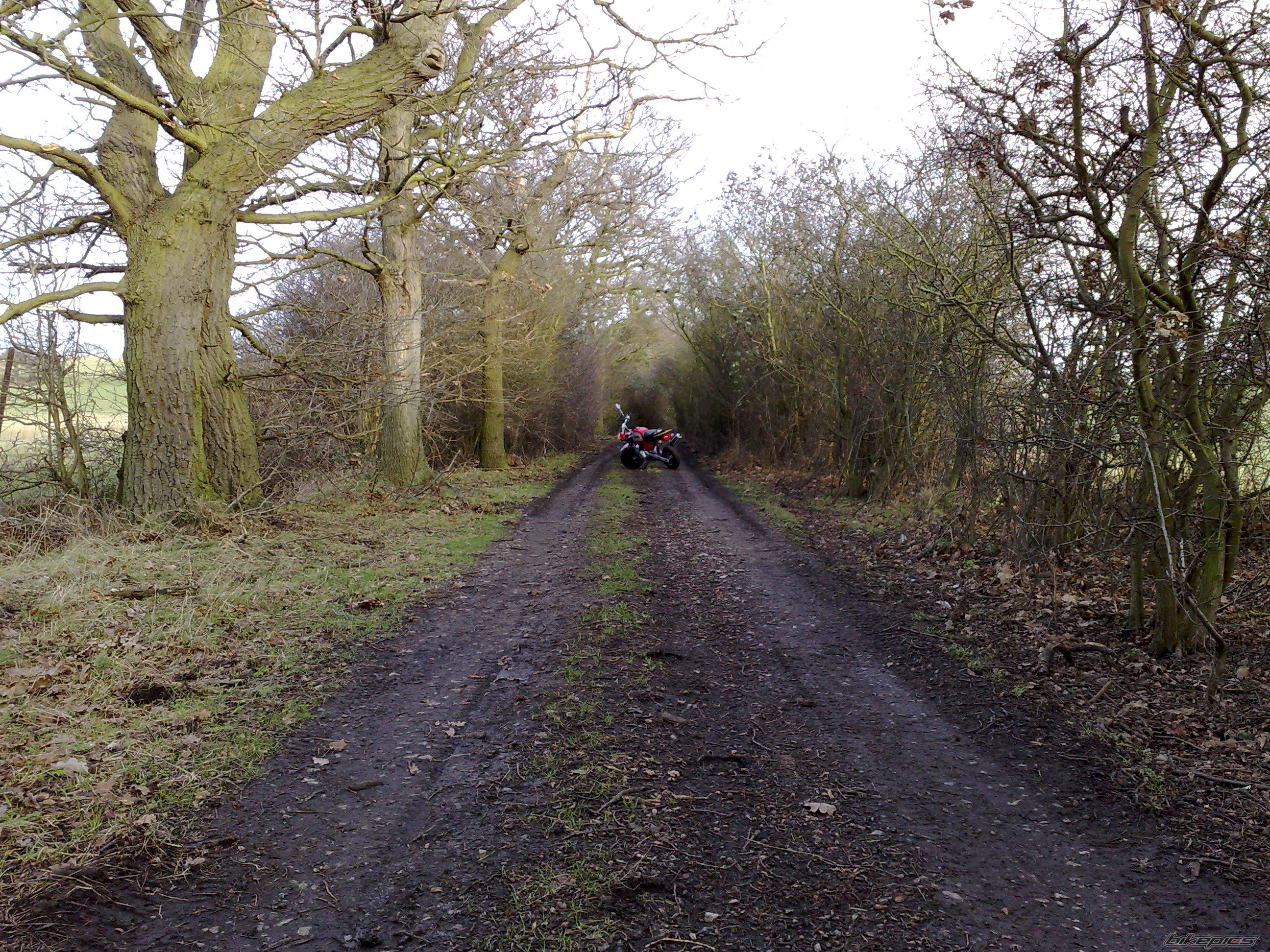 Photo 1159798