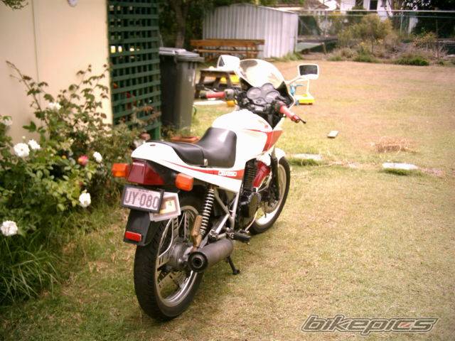 Photo 115980