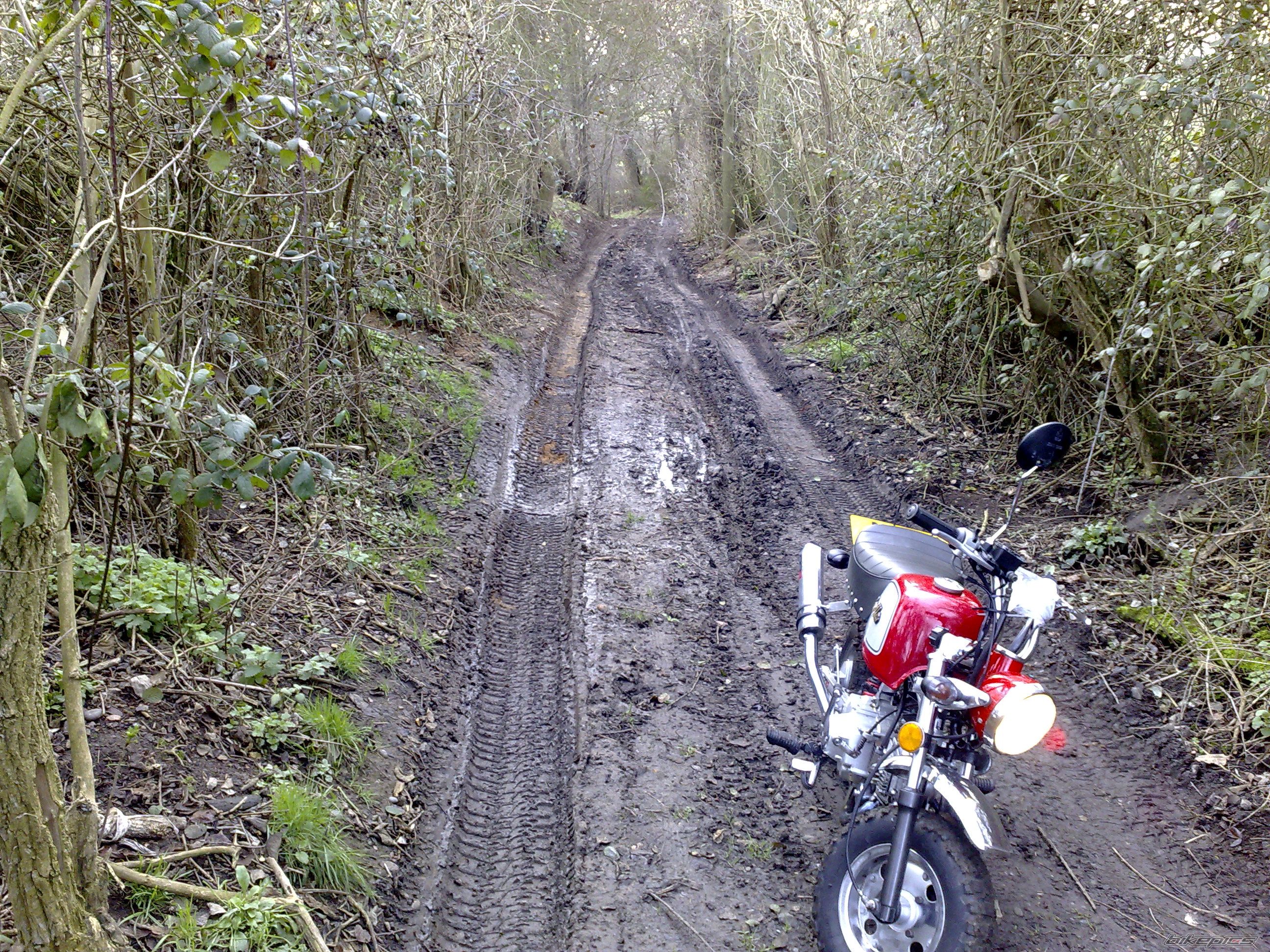 Photo 1159806