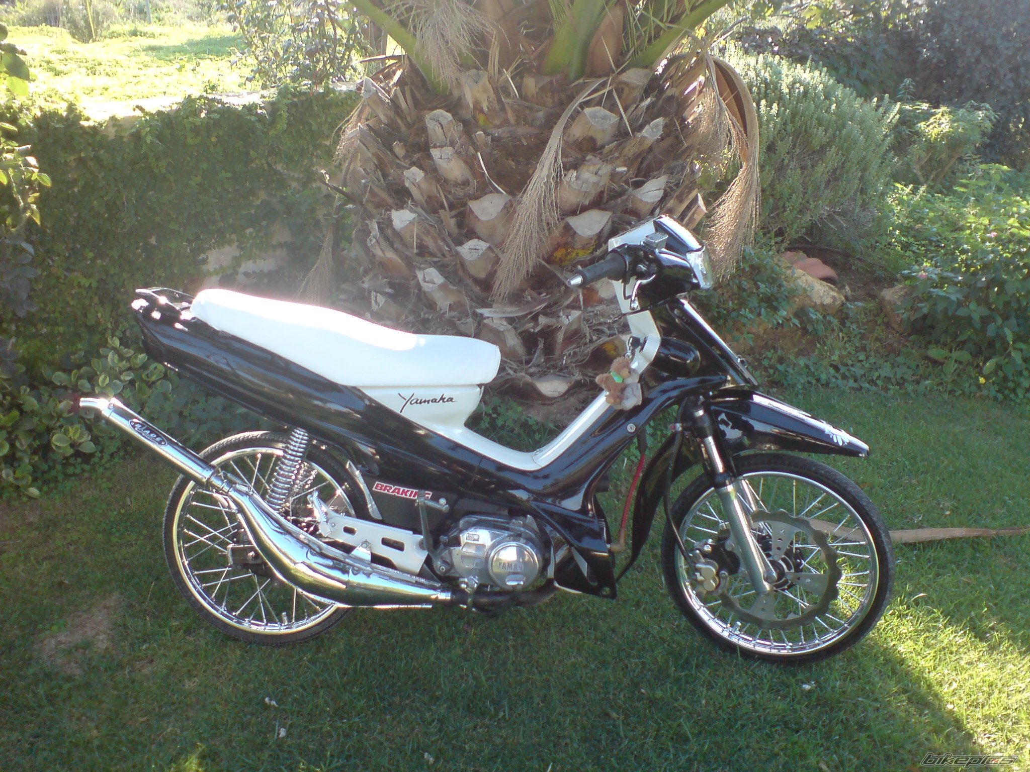 Bike Photo 1159887