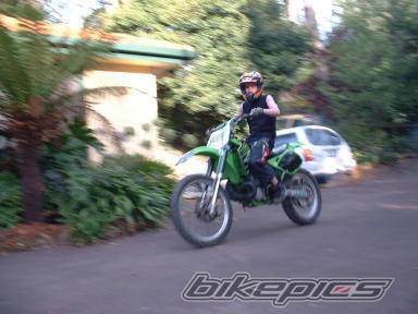 Photo 115995