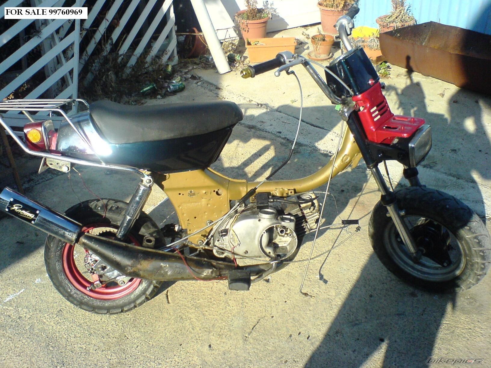 Photo 1159982