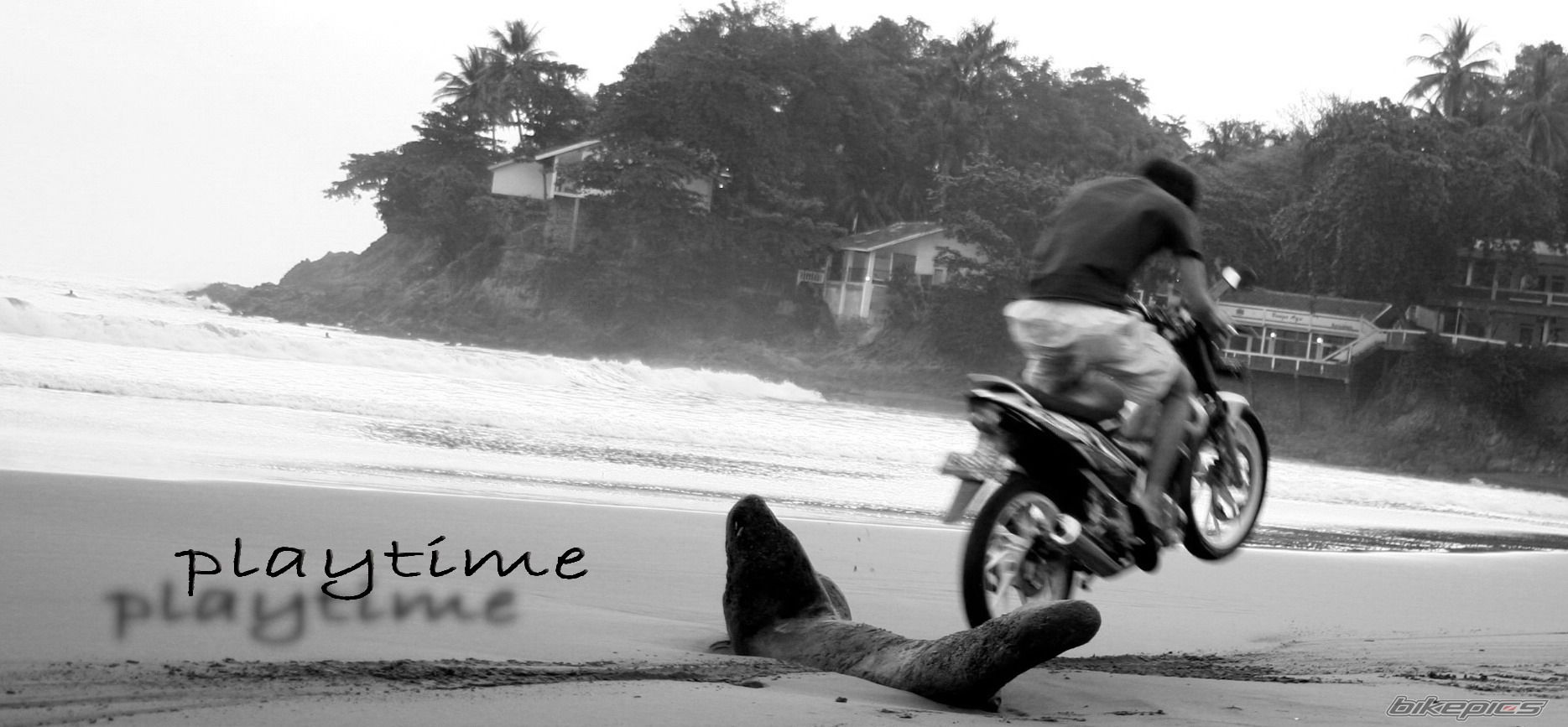 Bike Photo 1160053