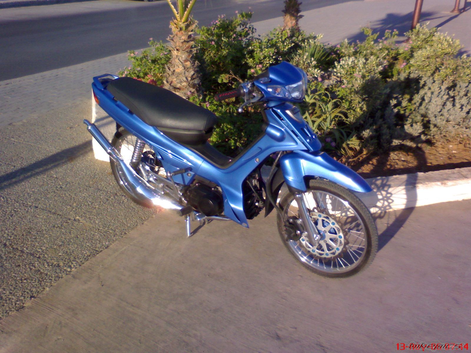 Photo 1160442