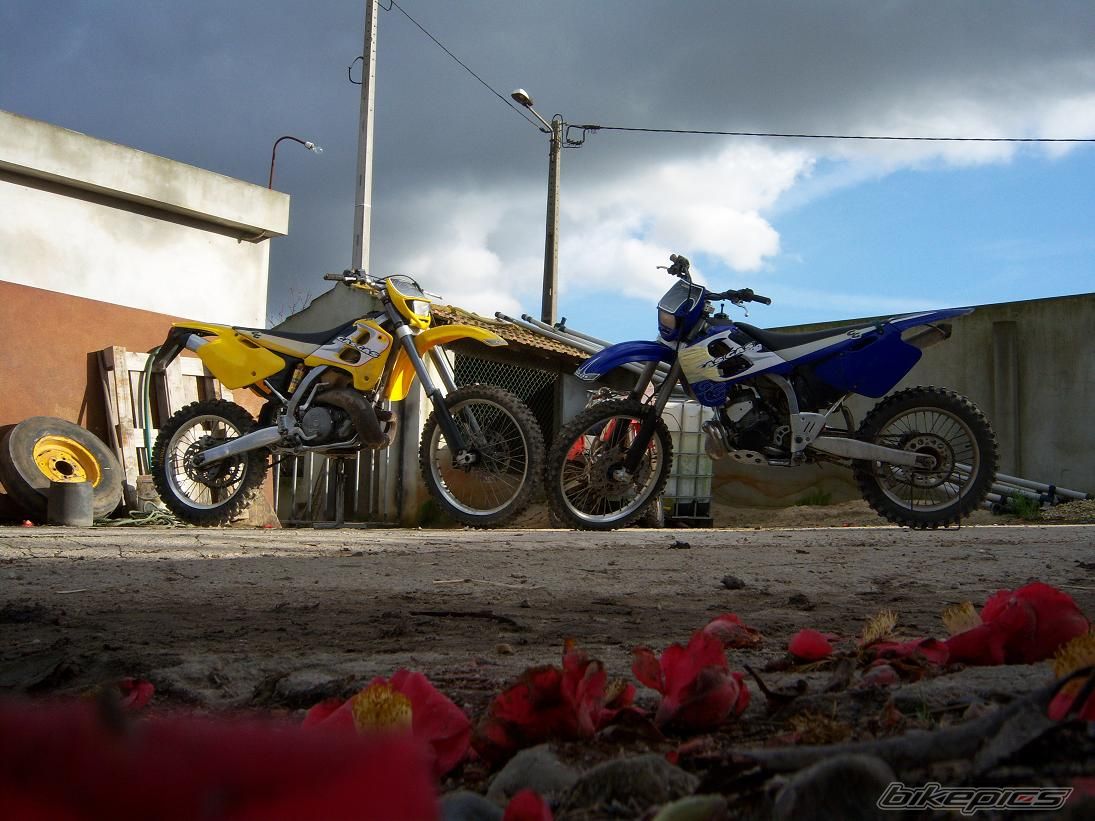 Bike Photo 1160605